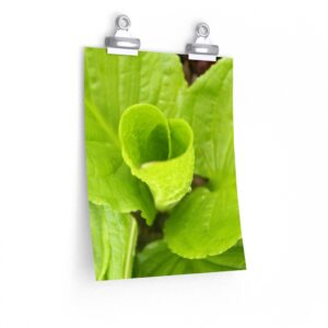 Green Love Premium Matte Poster