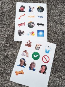 canva-downloadable-dog-button-template